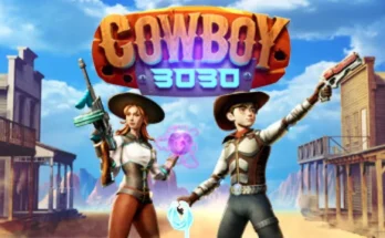 Cowboy 3030