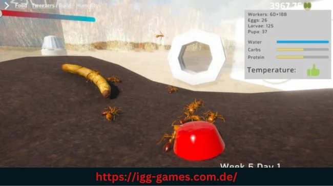 Ant Keeping Simulator PC Download